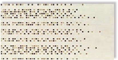 Decor Soneto 2 20/40см