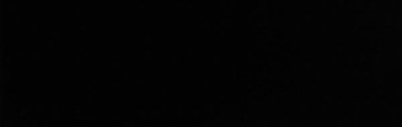 Arinsal Negro 20/59.2см