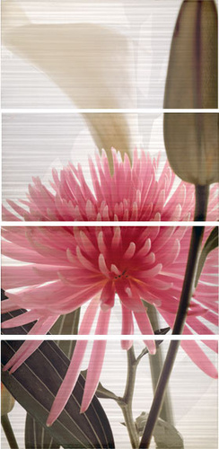 Decor Euphoria Perla - 4 плочки 31.6/63.2см