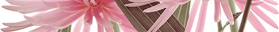 Listelo Euphoria Perla 7.5/63.2см