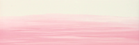 Skyline Rose 20/60см