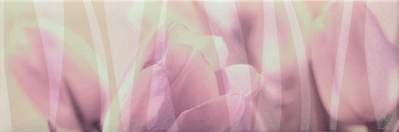 Decor Arome Rose 20/60см