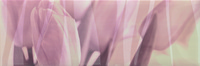 Decor Sensuelle Rose 20/60см